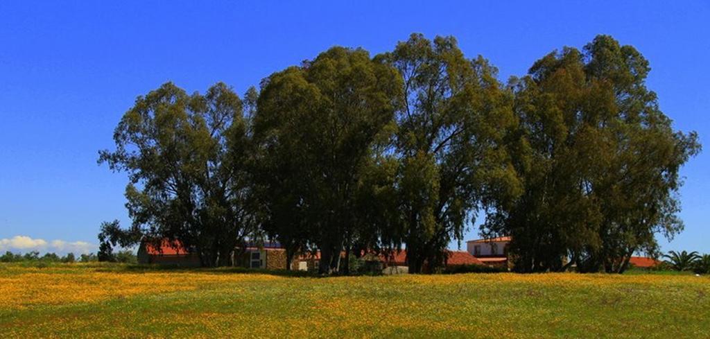 Вилла Couto Dos Pardinhos Monforte da Beira Экстерьер фото