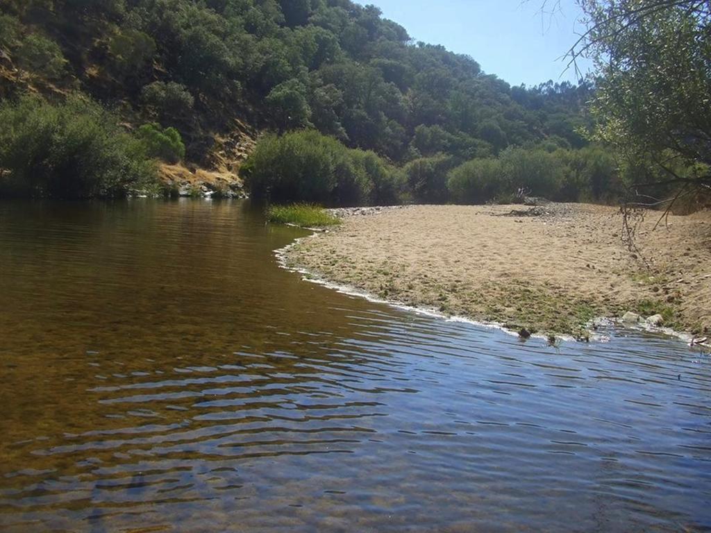 Вилла Couto Dos Pardinhos Monforte da Beira Экстерьер фото